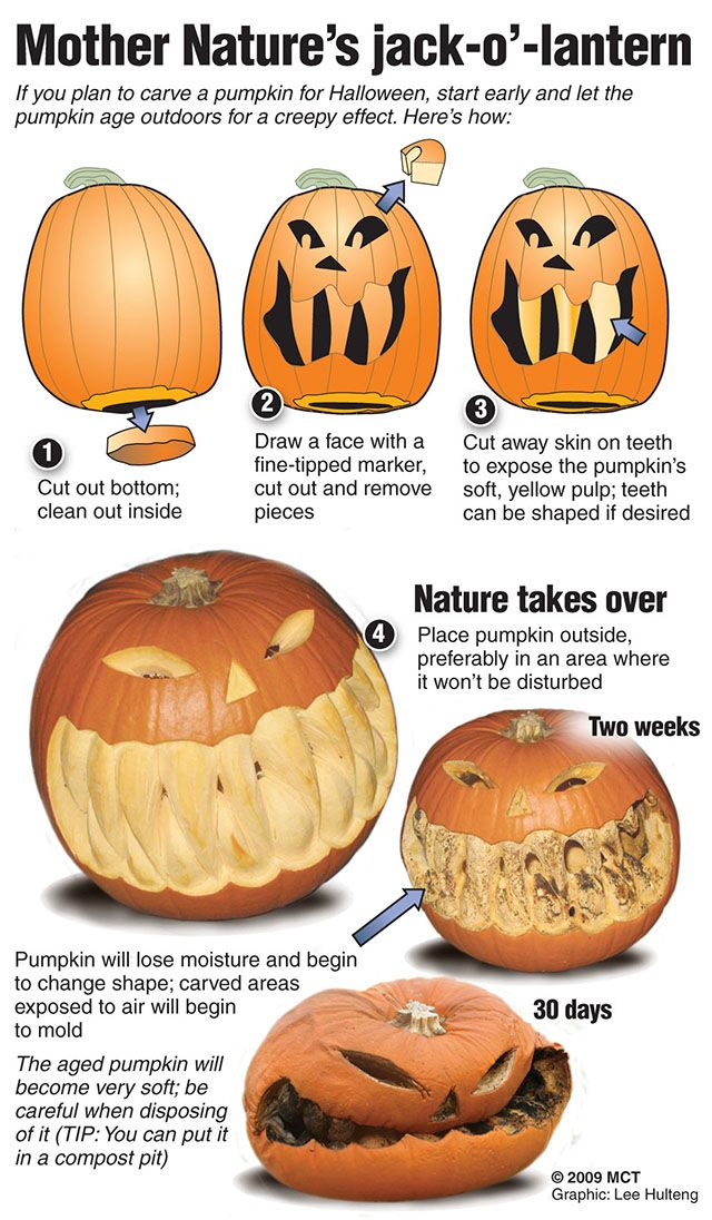 How to carve a jack-o'-antern and let it age outdoors for a creepy effect. MCT 2009<p>

10000000; krtfeatures features; krtlifestyle lifestyle; krtnational national; leisure; LIF; krt; 2009; krt2009; mctgraphic; 10010000; FEA; LEI; 10011000; krtfall fall; krthalloween halloween; krtholiday holiday; public holiday; risk diversity youth; krteurope europe; krtnamer north america; krtedonly; photo; candy; carve; festival; fright; horror; jack-o’-lantern; jack; lantern; jack o lantern; mouth; pulp; pumpkin; rind; scare; teeth; treat; trick; trick or treat; krt mct; hulteng
