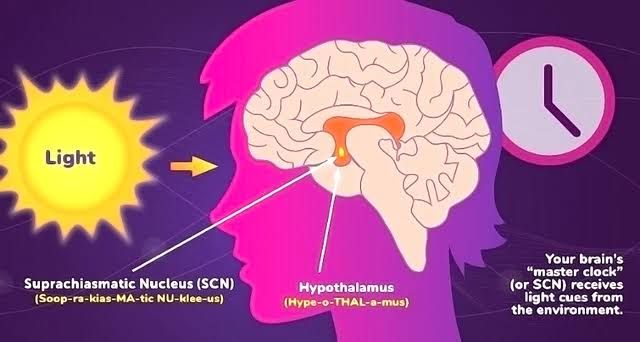 INTRODUCTION TO ENDOCRINOLOGY INTRODUCTION TO ENDOCRINOLOGY