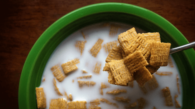 Dairy Free Diet