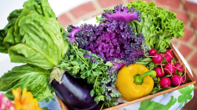alkaline diet plan