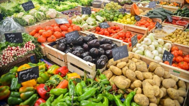 GM diet plan