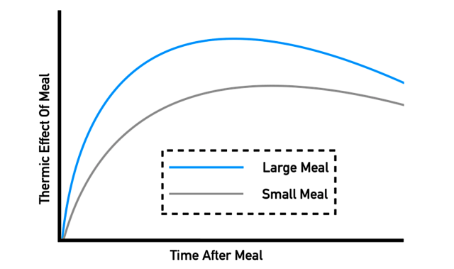 fast metabolism diet