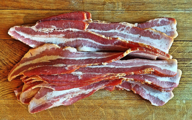 what is paleo diet