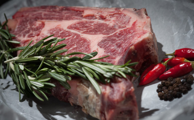 what is paleo diet