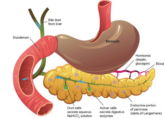 INDICATIONS OF SURGICAL INTERVENTION OF HYPERSECRETIONS OF PANCREAS