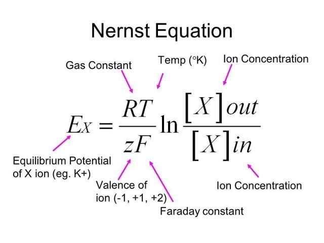 THE SCIENCE BEHIND NERNST POTENTIAL THE SCIENCE BEHIND NERNST POTENTIAL
