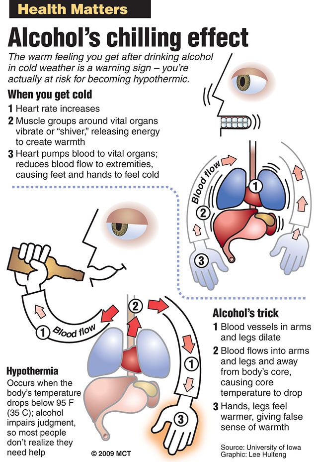 Weekly Health Matters graphic: Explains how the body normally responds to cold, and why alcohol in the blood gives a person the false sense of warmth. MCT 2009<p>

07000000; 10000000; 15000000; 17000000; HTH; krtfeatures features; krthealth health; krtlifestyle lifestyle; krtsports sports; krtweather weather; krtworld world; leisure; LIF; MED; SPO; WEA; krt; krt mct; hulteng; 2009; krt2009; mctgraphic; 07016000; 10010000; HEA; krtfitness fitness; krtkidhealth kid health; krtmenhealth men health; krtwomenhealth women health; LEI; physical fitness; 10012000; FEA; hunting hunt; krtoutdoors outdoors; OTD; 10013000; 10015000; 15002000; 15003000; 15003001; 15031000; 15031001; 15053000; adventure; ALPS; FBC; FBN; fish; HKC; HKN; ICEH; alpine skiing; krtfootball football; krthockey; krtintlsports; krtnational national; krtncaafootball ncaa college; krtncaahockey hockey; krtskiing skiing ski; SKI; SNOW; u.s. us united states; WIN; 03007000; 03015001; DIS; krtblizzard blizzard; krtcold cold; krtsnow snow; krtstorm storm; krtwinter winter; winter storm; krtdiversity diversity; youth; wf hm healthmatters health matters; alcohol; beer; blood; circulation; drink; drunk; extremities; feet; foot; frostbite; hand; heart; heat; hypothermia; impairment; intoxicated; kidneys; liquor; liver; lungs; muscle; organ; shiver; vessel; wine