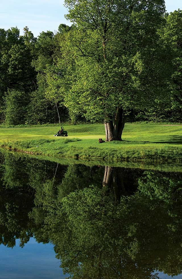 monterra 5th green tree reflection web