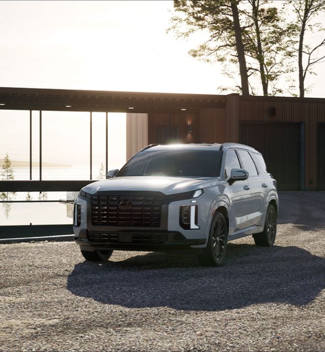 All-New 2025 Hyundai Palisade at Delaney Hyundai of Dubois | 2025 Hyundai Palisade parked outside in front of house