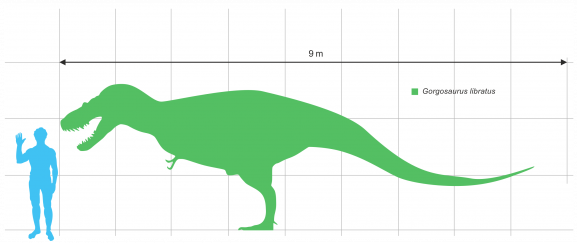 Gorgosaurus Size Comparison