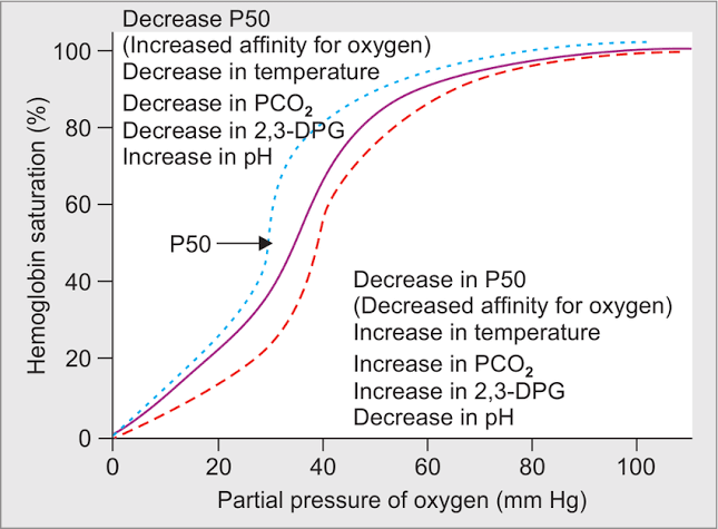 TRANSPORT OF OXYGEN IN THE BLOOD TRANSPORT OF OXYGEN IN THE BLOOD