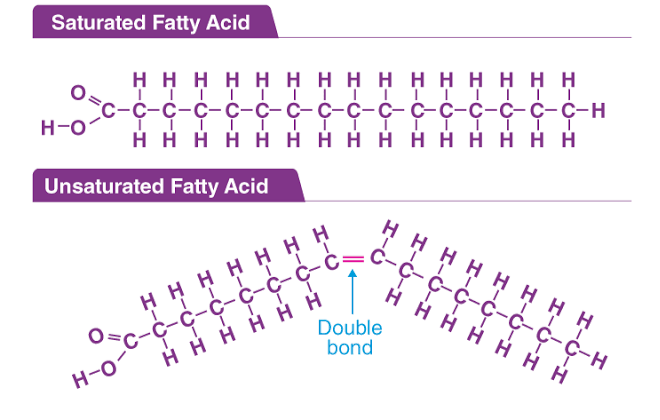FATTY ACIDS: STRUCTURE, CLASSIFICATION AND FUNCTIONS FATTY ACIDS: STRUCTURE, CLASSIFICATION AND FUNCTIONS