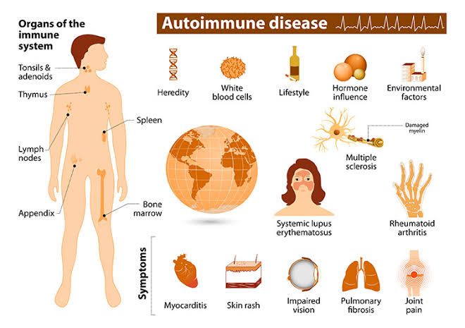 PATHOLOGY AND MANAGEMENT OF RENAL MANIFESTATIONS IN AUTOIMMUNE CONDITIONS: A DETAILED OVERVIEW