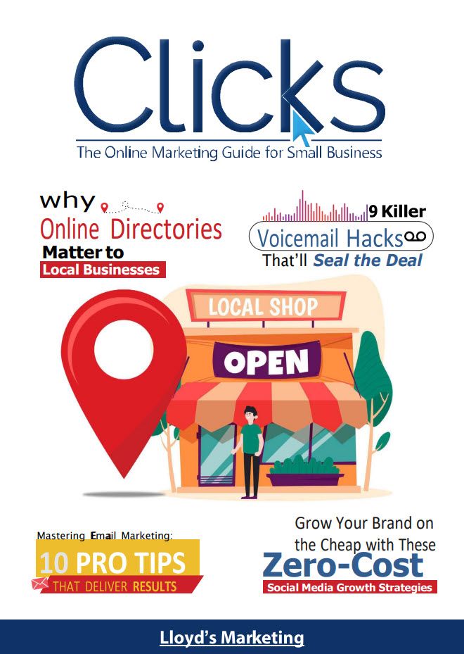 Cover Of A Marketing Guidebook Featuring Topics On Online Directories, Email Marketing, And Social Media Growth Strategies For Small Businesses.