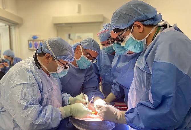 EXPLORING KEY DIAGNOSTIC INDICATORS IN RENAL TRANSPLANT REJECTION