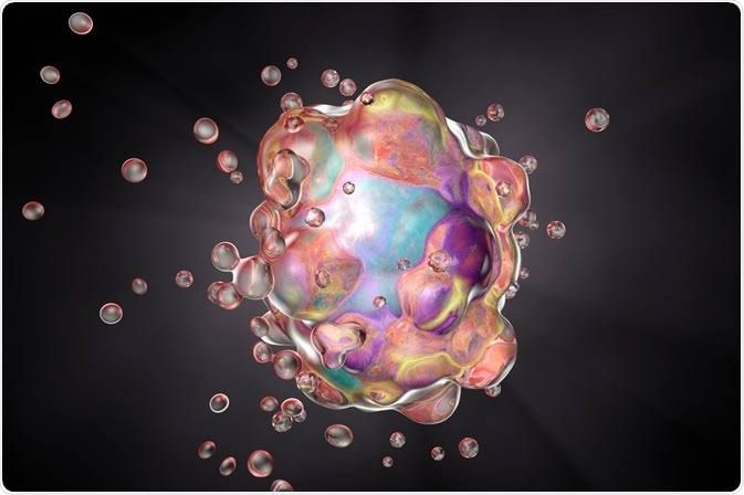 A CLOSER LOOK AT APOPTOSIS: THE KEY MECHANISM OF PROGRAMMED CELL DEATH