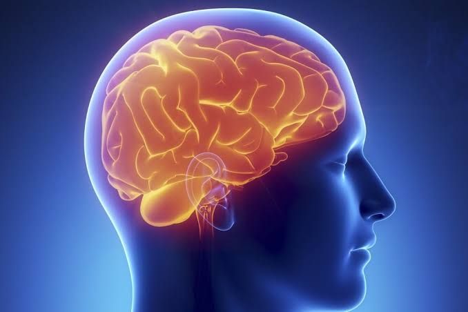 BRAIN NEEDS IN DIFFERENT METABOLIC STATES