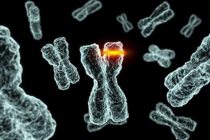 CYTOGENETIC NUMERICAL AND STRUCTURAL ABNORMALITIES CYTOGENETIC NUMERICAL AND STRUCTURAL ABNORMALITIES