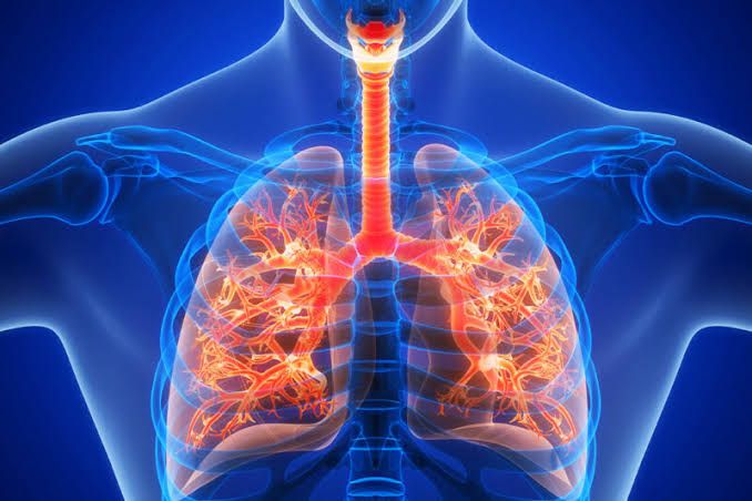 NERVOUS REGULATION OF RESPIRATION NERVOUS REGULATION OF RESPIRATION