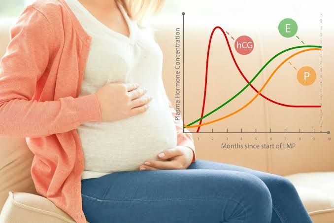 HOW HCG INFLUENCES THE CONTINUATION OF PREGNANCY: AN IN-DEPTH LOOK