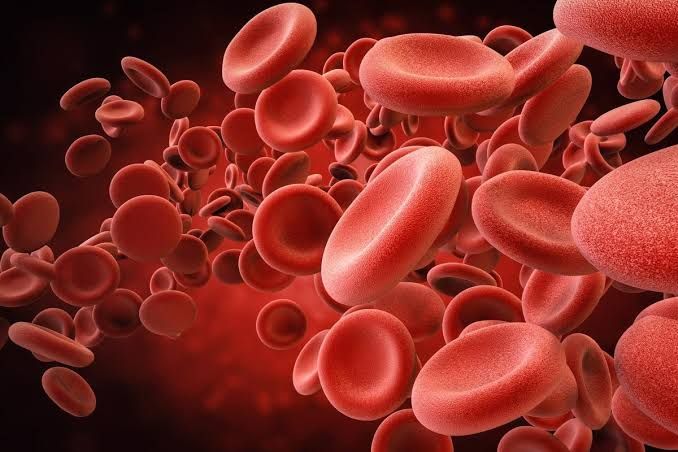 RED BLOOD CELLS: CHARACTERISTICS AND FUNCTIONS