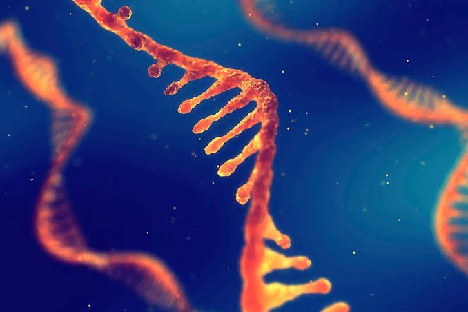 THE SCIENCE OF RNA PROCESSING: ESSENTIAL FACTS TO KNOW