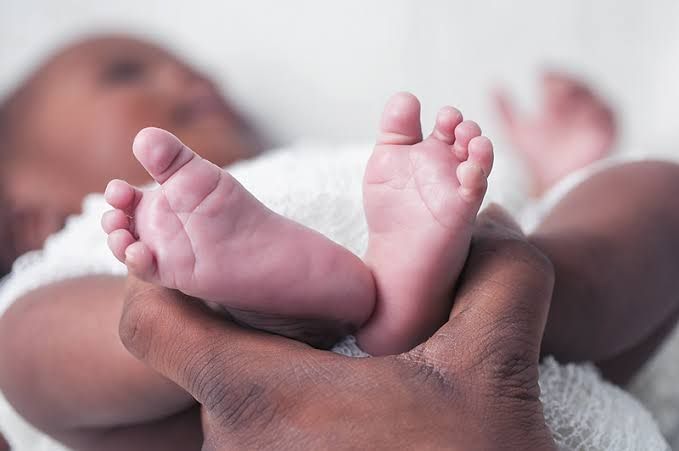 AN INFANT IS DIAGNOSED WITH CONGENITAL HYPOTHYROIDISM AFTER NEWBORN SCREENING SHOWS ELEVATED TSH LEVELS AN INFANT IS DIAGNOSED WITH CONGENITAL HYPOTHYROIDISM AFTER NEWBORN SCREENING SHOWS ELEVATED TSH LEVELS