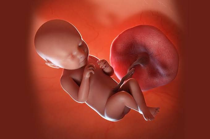 UNDERSTANDING TERATOGENESIS IN EARLY DEVELOPMENT UNDERSTANDING TERATOGENESIS IN EARLY DEVELOPMENT