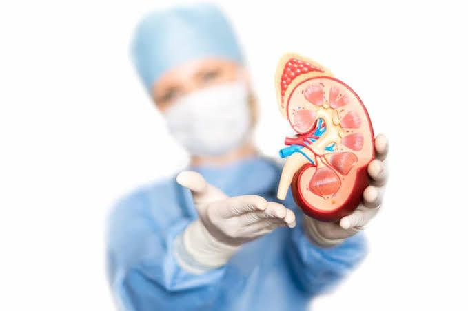 ACUTE RENAL FAILURE: RISK FACTORS YOU SHOULD KNOW ACUTE RENAL FAILURE: RISK FACTORS YOU SHOULD KNOW