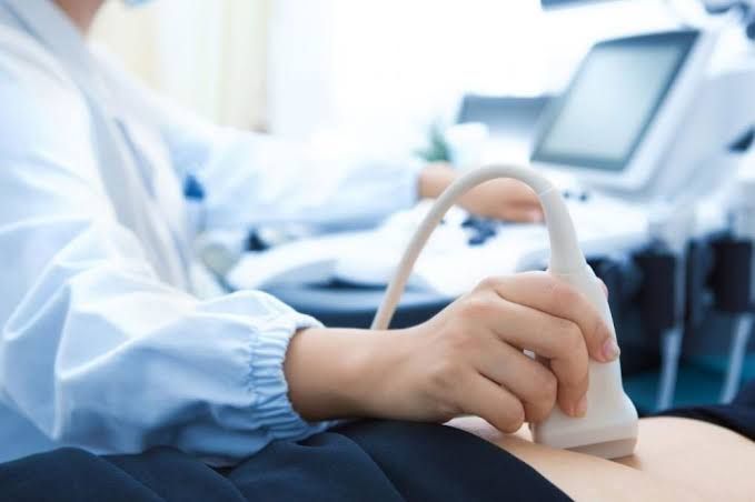 RECOGNITION OF NORMAL AND ABNORMAL HEPATOBILIARY STRUCTURE