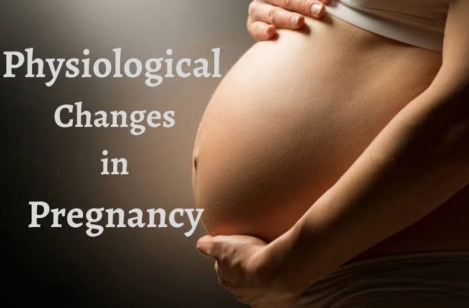 PHYSIOLOGICAL CHANGES DURING PREGNANCY PHYSIOLOGICAL CHANGES DURING PREGNANCY