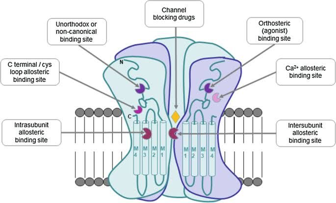 EXPLORING THE ROLE OF NICOTINIC BLOCKING AGENTS IN MEDICAL TREATMENTS