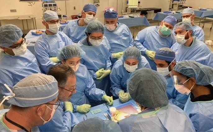 PANCREAS GRAFT BACK TABLE PREPARATION: TECHNIQUES TO IMPROVE SUCCESS RATES