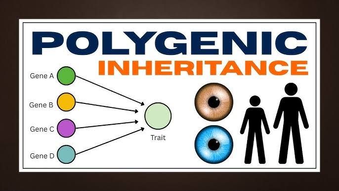 DEMYSTIFYING POLYGENIC INHERITANCE DISORDERS: EXPERT CLASSIFICATION GUIDE