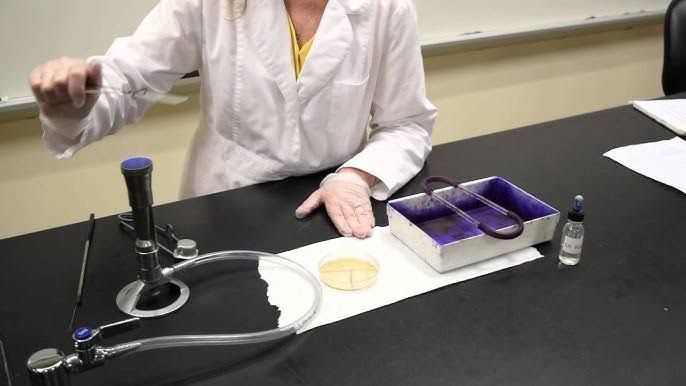 BASIC BACTERIOLOGICAL TESTS FOR INFECTION DETECTION BASIC BACTERIOLOGICAL TESTS FOR INFECTION DETECTION