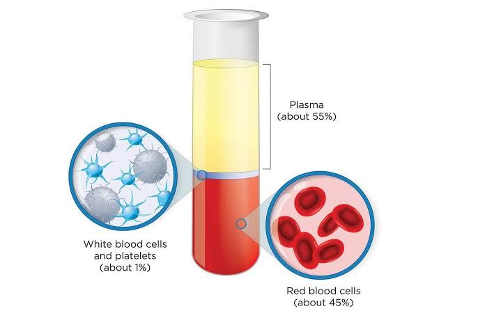 PLASMA COMPONENTS AND PROTEINS