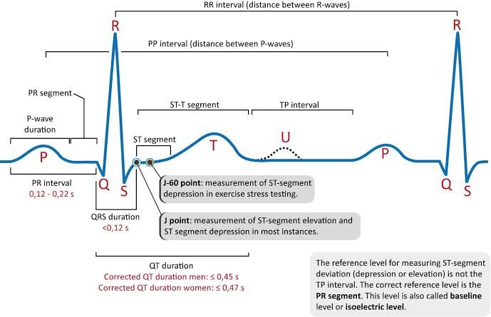 EXPLORING THE WAVES OF ECG: A COMPREHENSIVE GUIDE