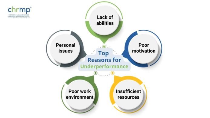 What are the Top Reasons for Underperformance?