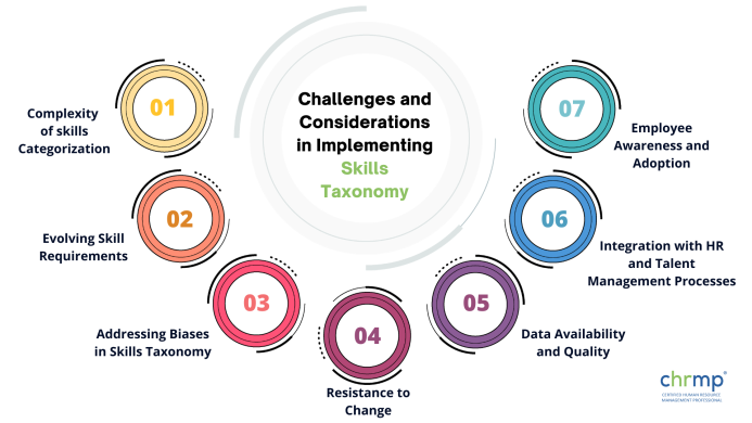 challenges of skills taxonomy