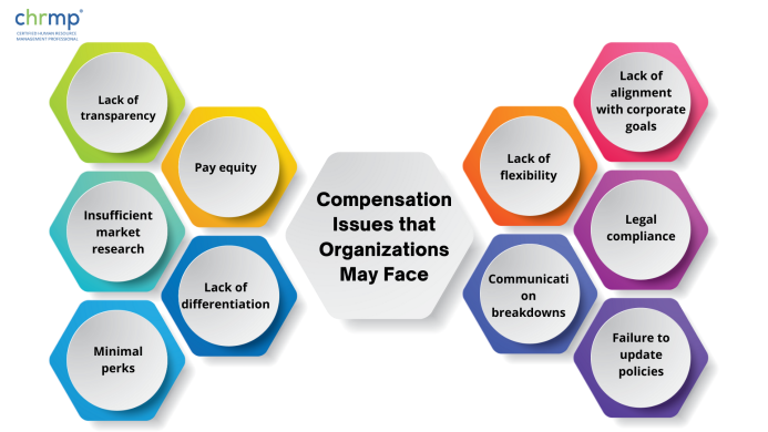 Ten Compensation Issues that Organizations May Face