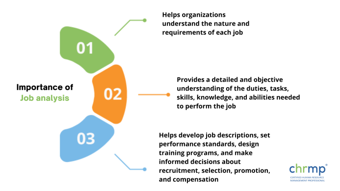 Job Analysis: Meaning, Importance, Components, Methods, Process
