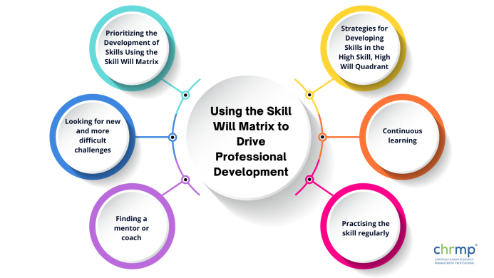 skill will matrix for professional development