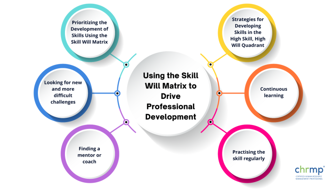 The Skill Will Matrix: A Guide+ 4 Quadrants Explained