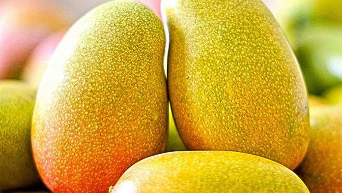 Jamaican mangoes