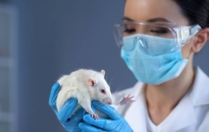 STUDY OF ANTI-ALLERGIC ACTIVITY BY MAST CELL STABILIZATION ASSAY STUDY OF ANTI-ALLERGIC ACTIVITY BY MAST CELL STABILIZATION ASSAY