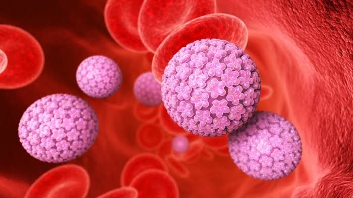HUMAN PAPILLOMAVIRUS (HPV): WHAT IT IS AND HOW IT AFFECTS YOUR HEALTH