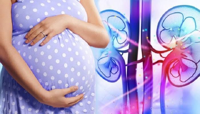 EXPLORING PREGNANCY RISKS: IMMUNOSUPPRESSION AND TRANSPLANT MEDICATIONS