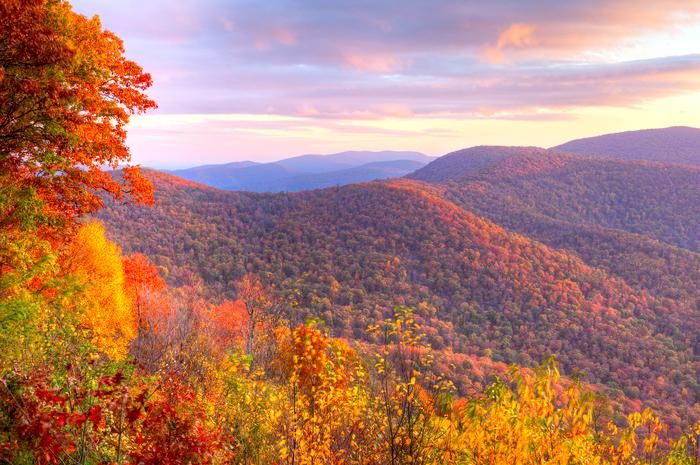 1-shutterstock_226913197-1