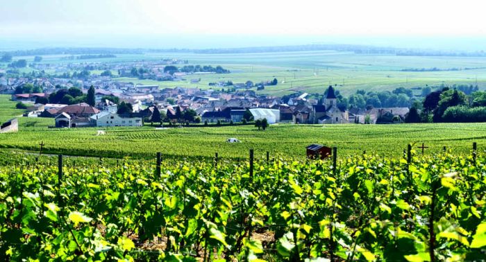 How Champagne and Burgundy estates really change hands
