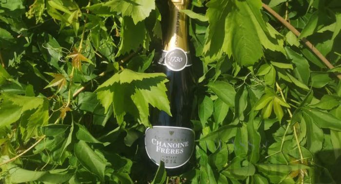 Champagne Chanoine Frères Réserve Privée Vintage 2014